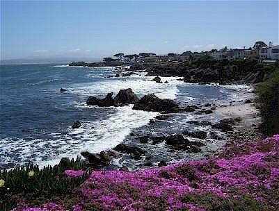 Monterey Peninsula Inn Pacific Grove Eksteriør bilde